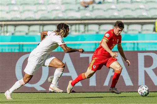 बेल्जियम बनाम मिस्र